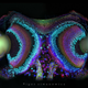 Illustration for article titled The Strange Cuteness of Insect Portraits